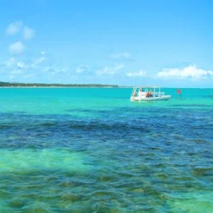 Alagoas (AL)