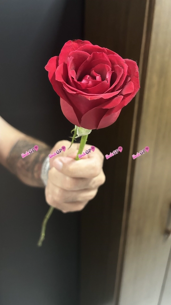 Foto 7 - Bruno Dante