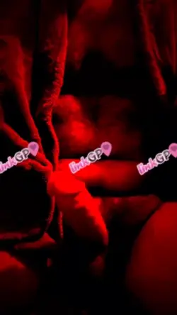 videos-1147786-28-12-2024-2