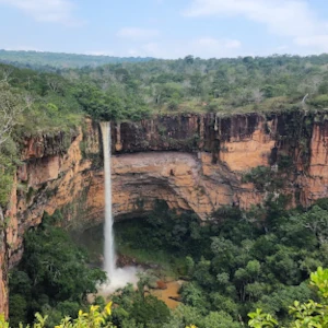 Mato Grosso (MT)